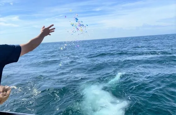 ご遺骨の供養・自然