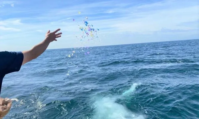 将来はそのまま散骨のイメージ