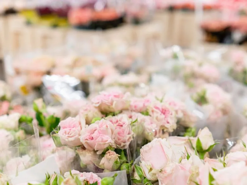 新鮮な花材の仕入れ風景