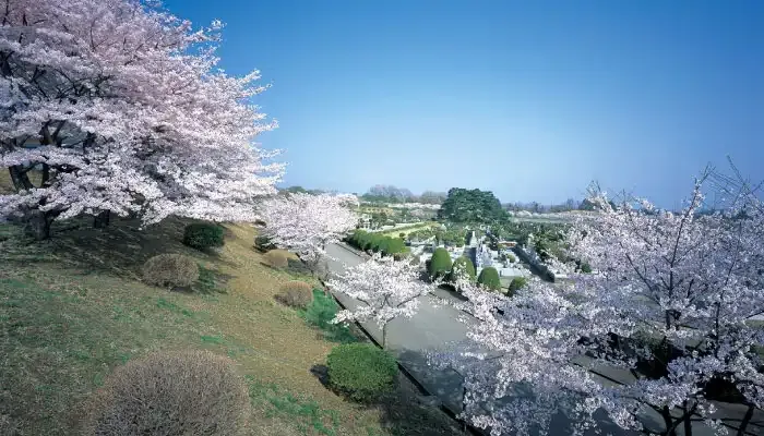 東京灵園の外観