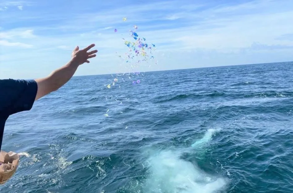 自然葬・散骨の風景