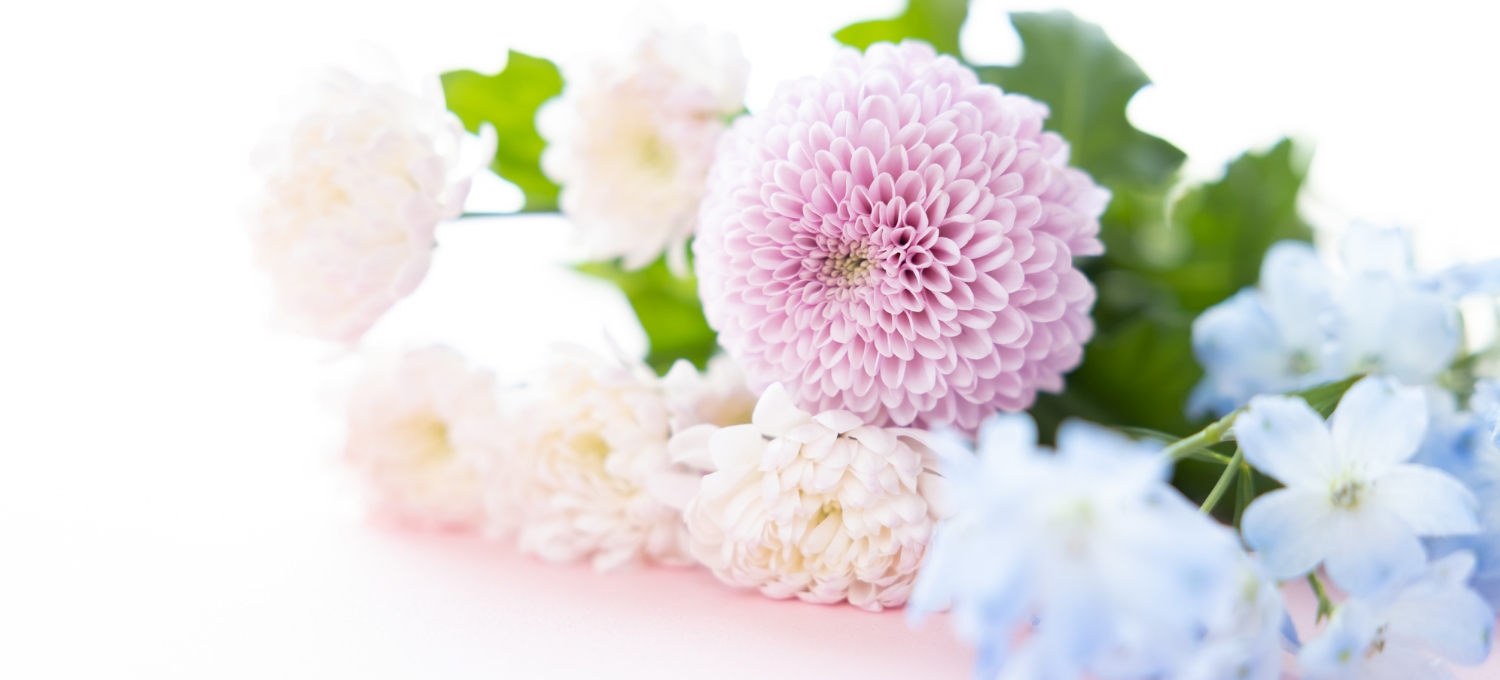 お知らせのイメージ