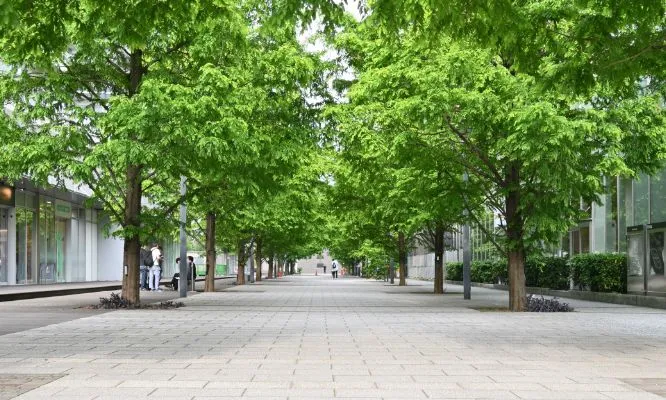 火葬前の思い出巡りの様子