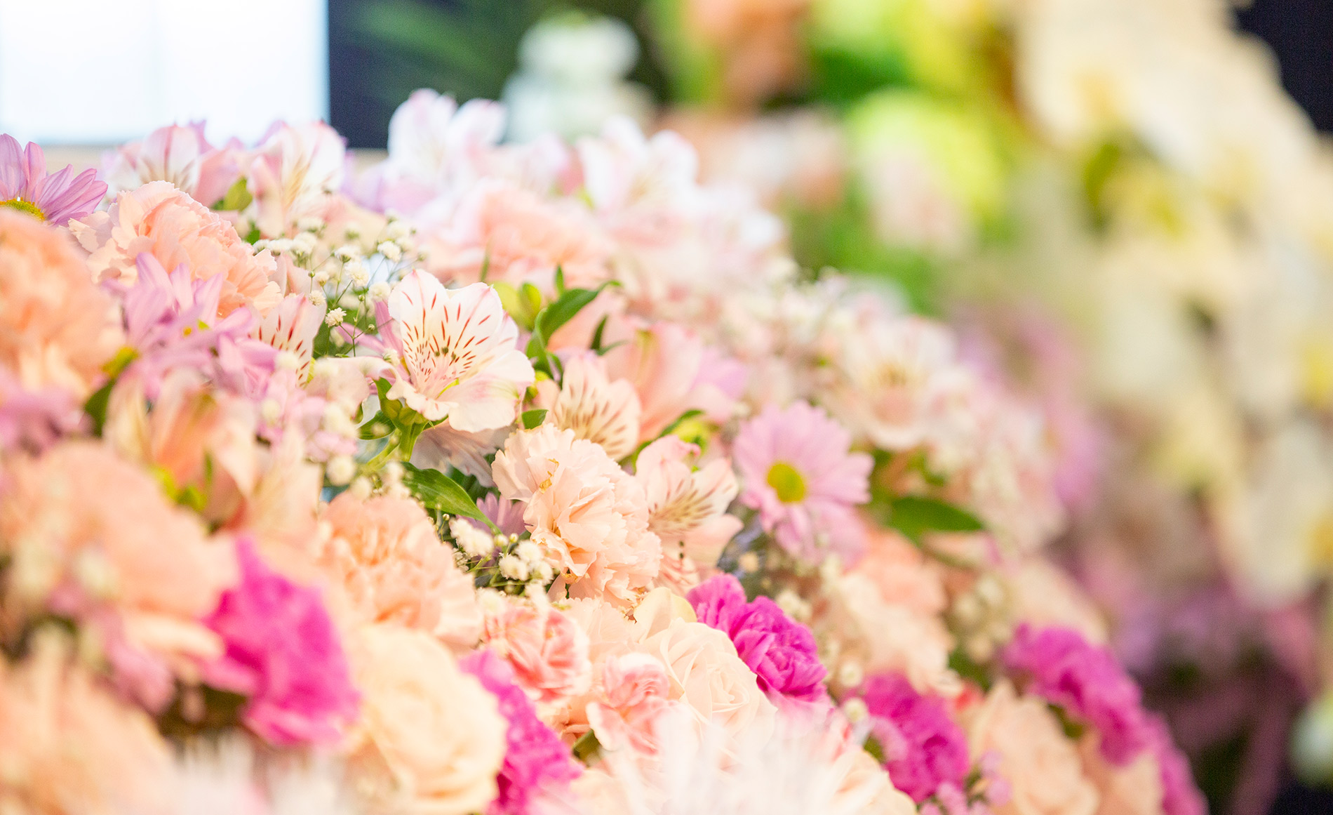 サン・ライフ<br>海老名セレモニーホール