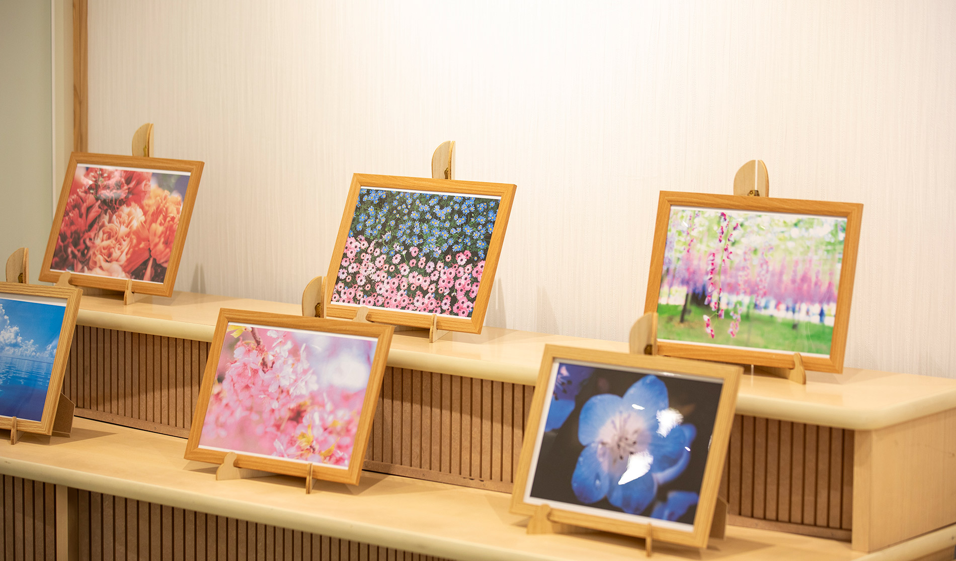 サン・ライフ<br>しぶさわファミリーホール