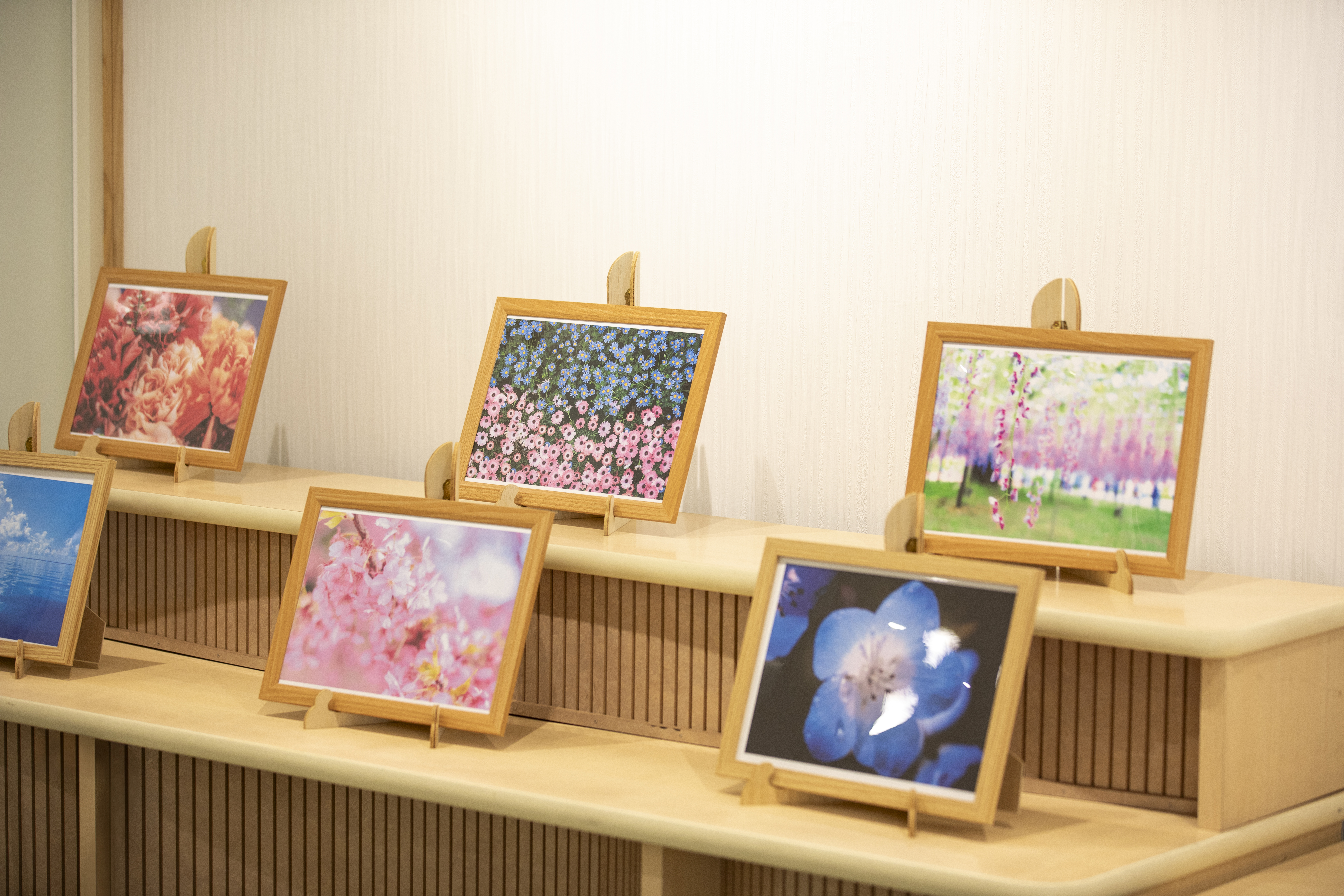 サン・ライフ<br>しぶさわファミリーホール