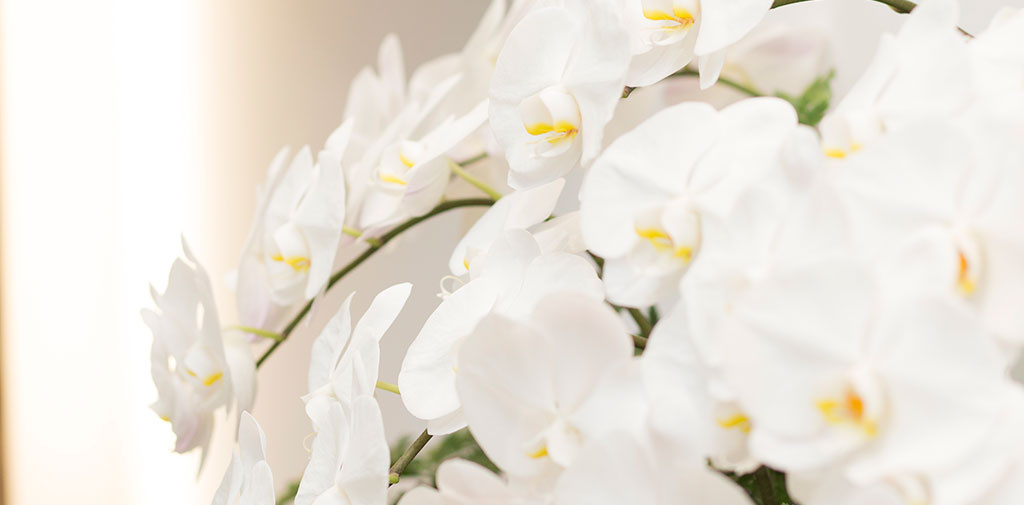 日野市営火葬場（火葬場）