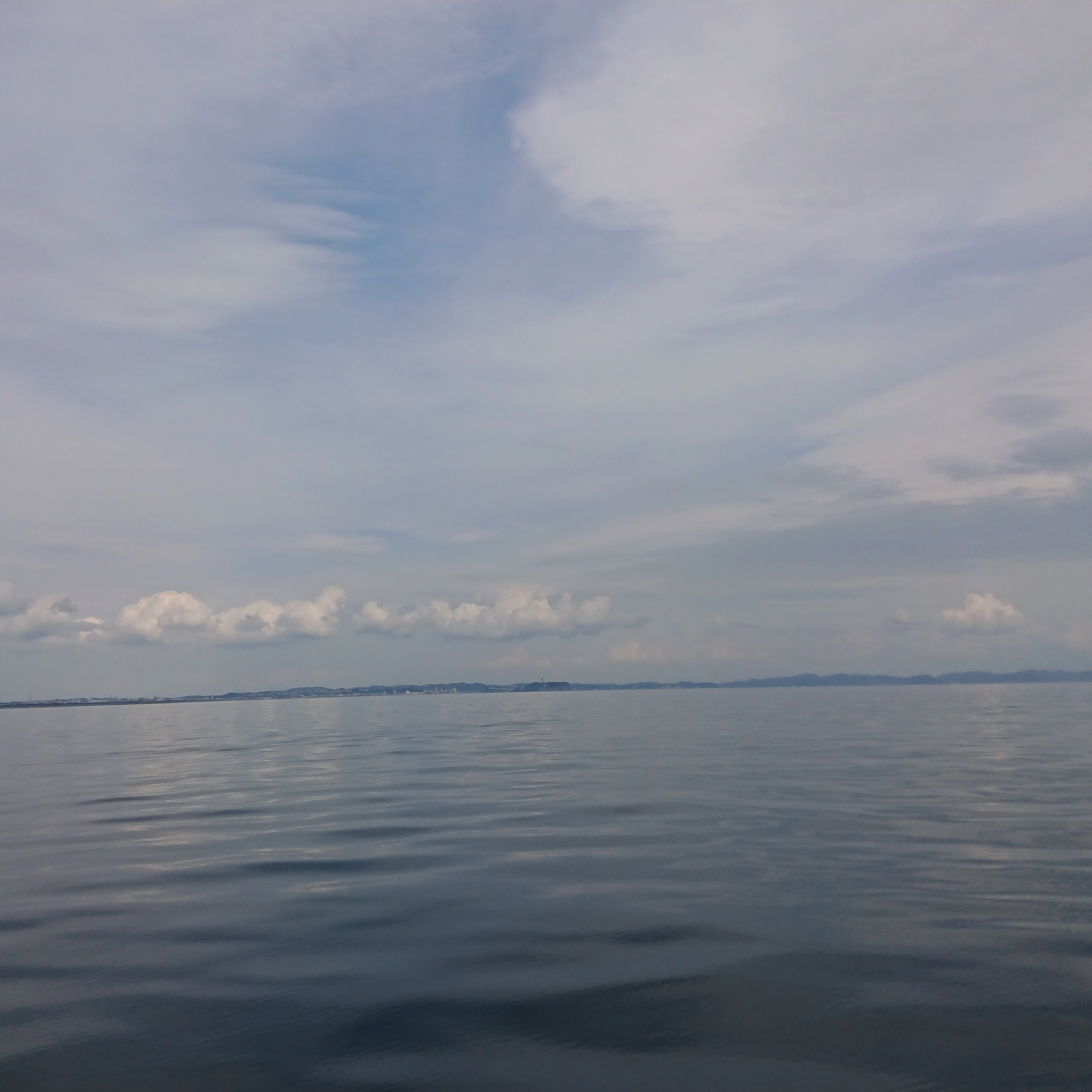 10月自然葬ブログ