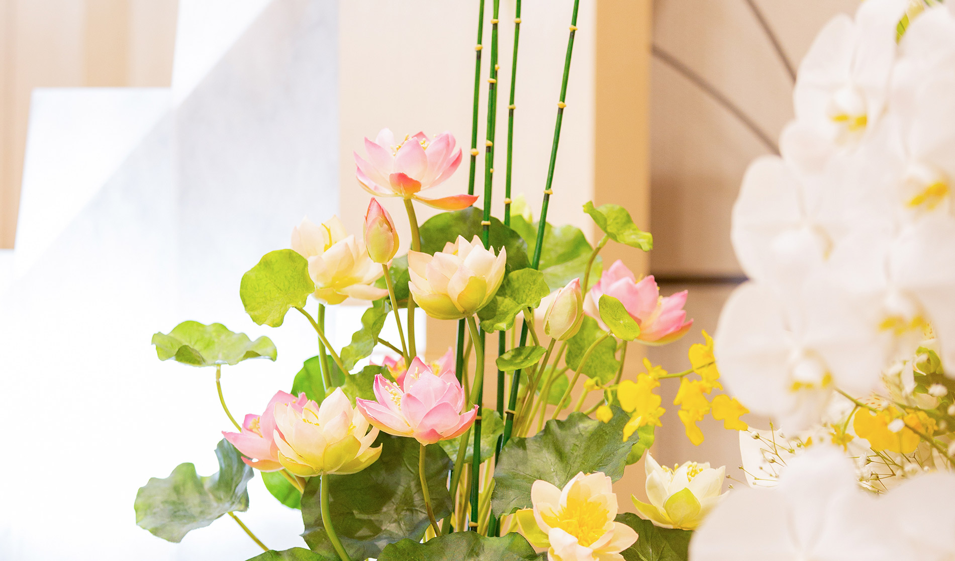 サン・ライフ<br>ファミリーホール大井松田