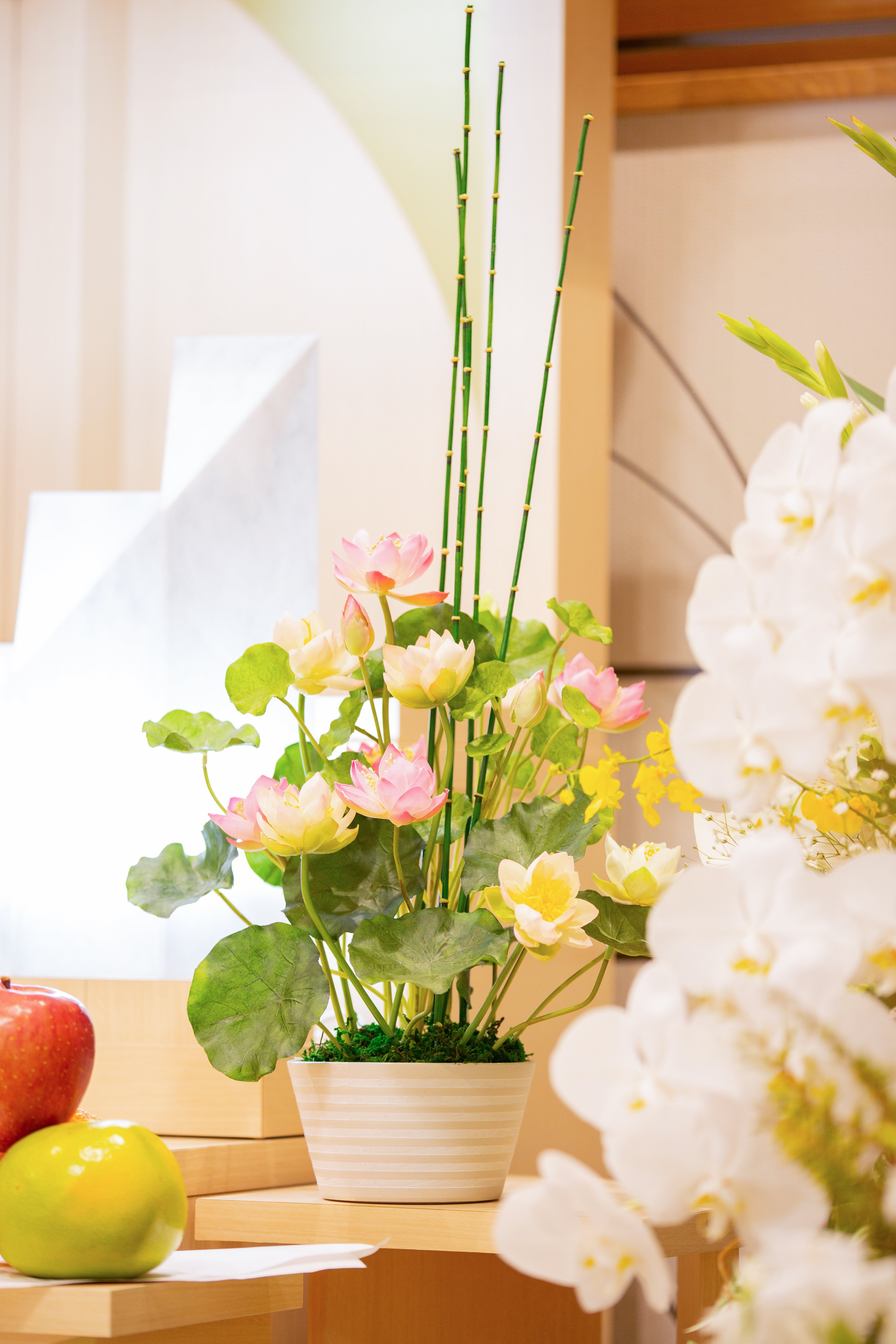 サン・ライフ<br>ファミリーホール大井松田