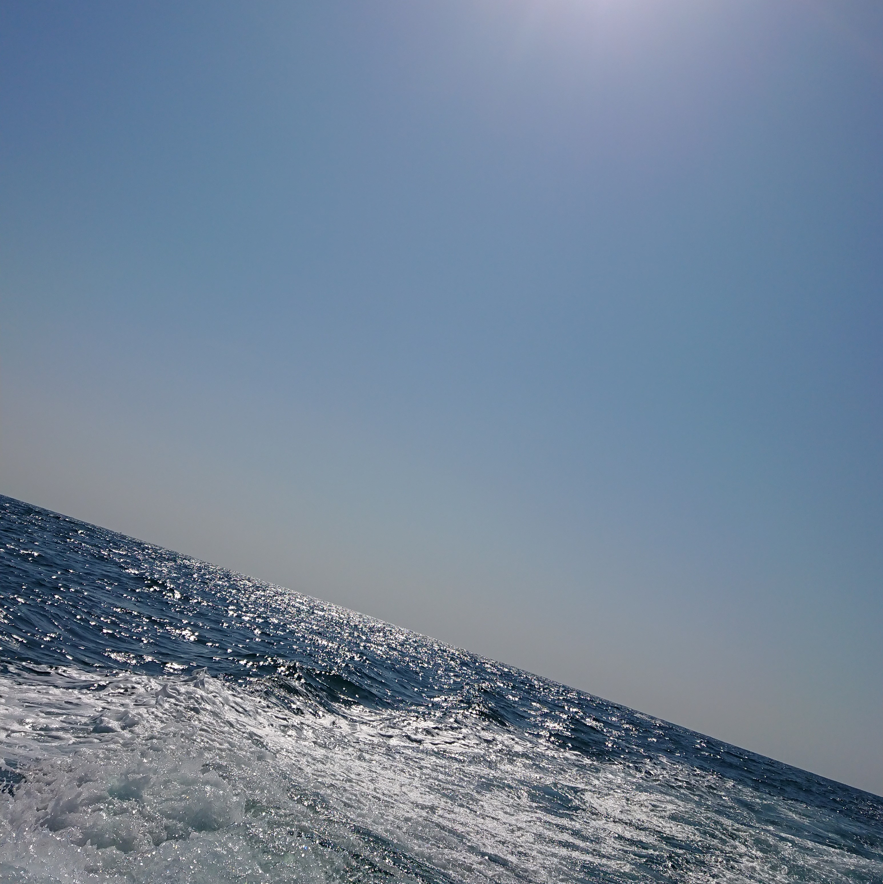 2月ブログ自然葬