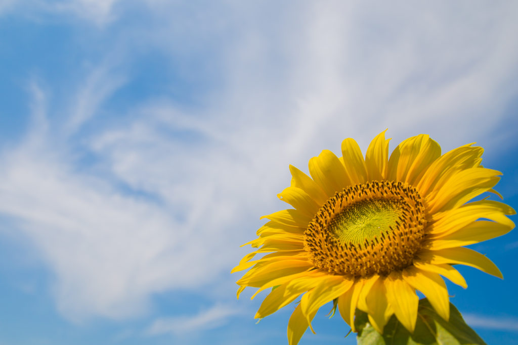 7月ブログ 小田原SH