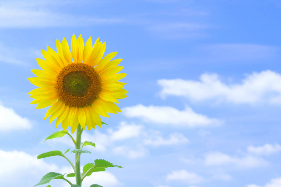 8月ブログ 西湘H