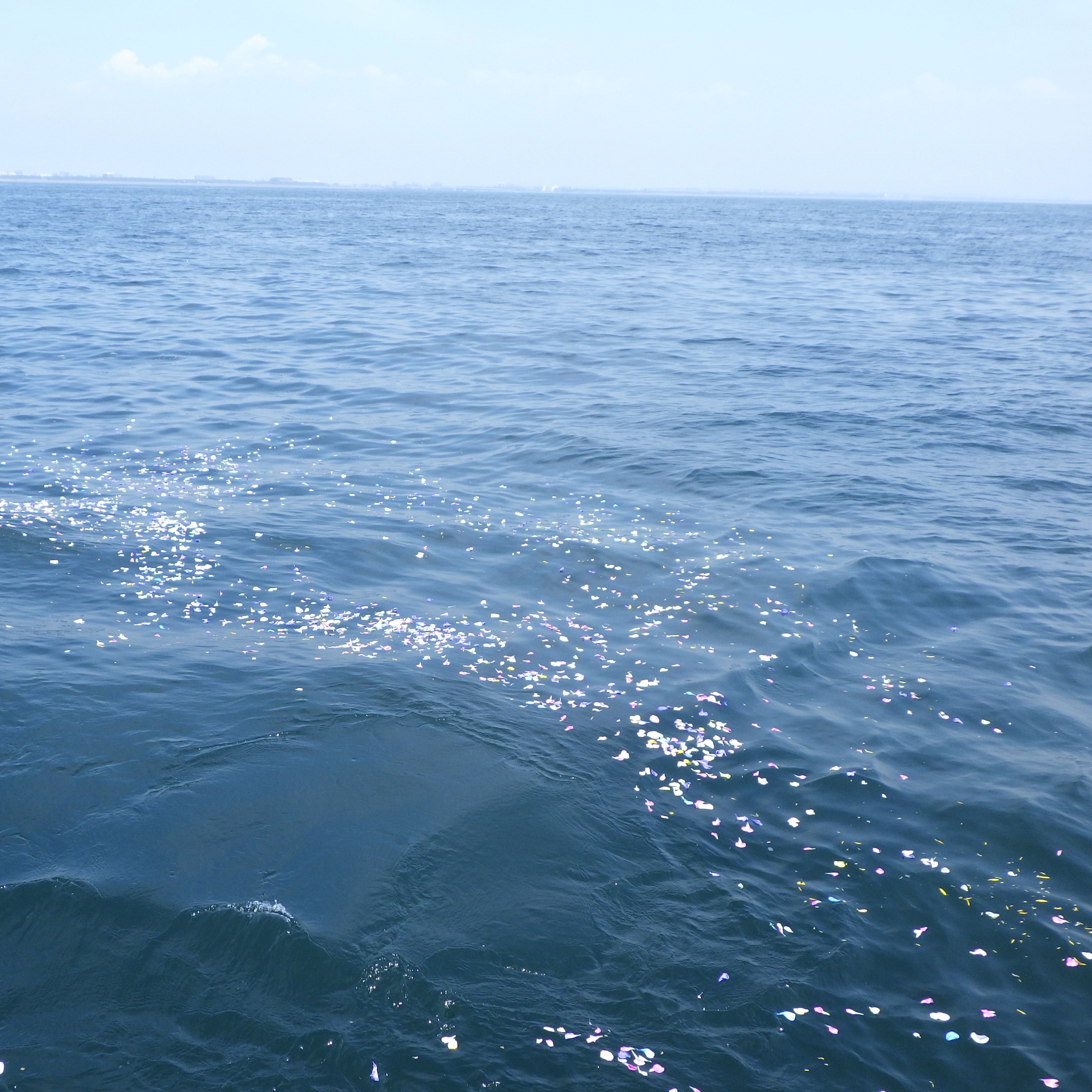 9月自然葬 ブログ2