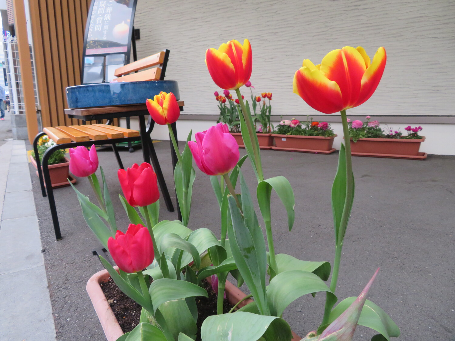 2022年3月ブログ FH大和