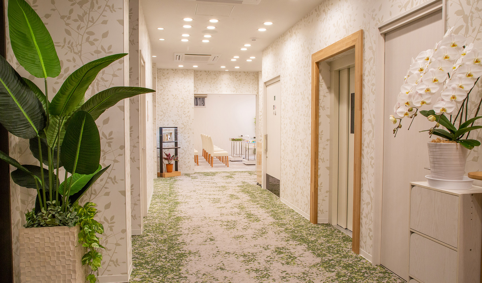 サン・ライフ<br>ファミリーホール茅ヶ崎