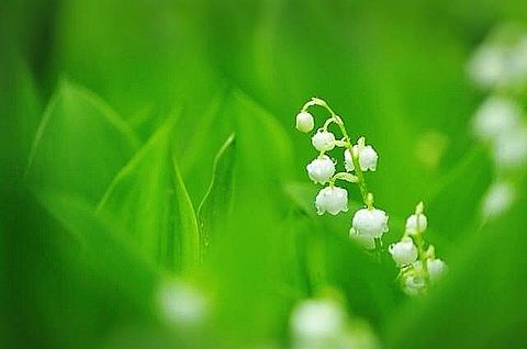 2022年5月FH小田原ブログ