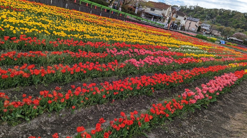 小田原式典総合ホール