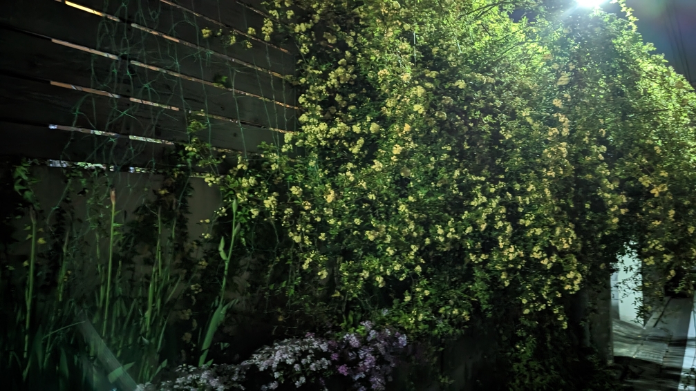 小田原式典総合ホール