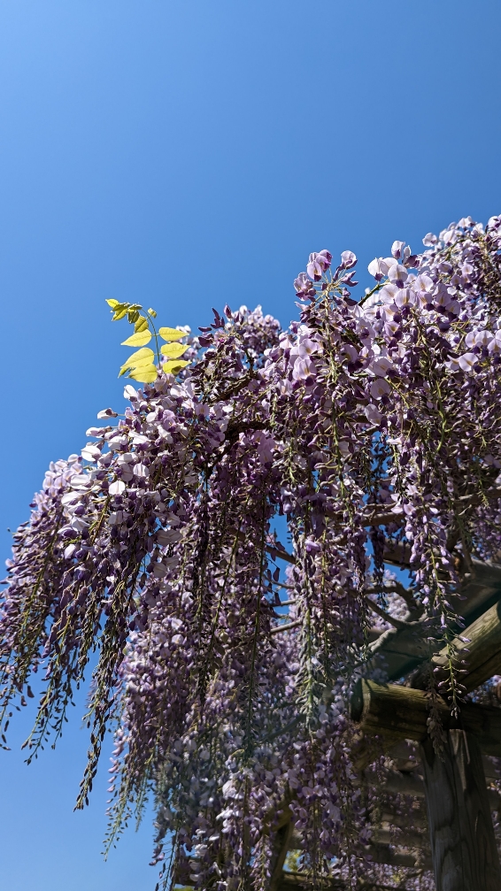 小田原式典総合ホール