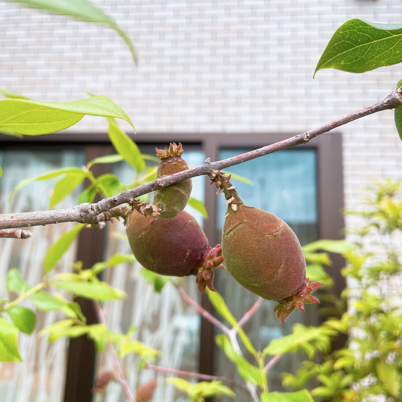 0508ファミリーホール茅ヶ崎