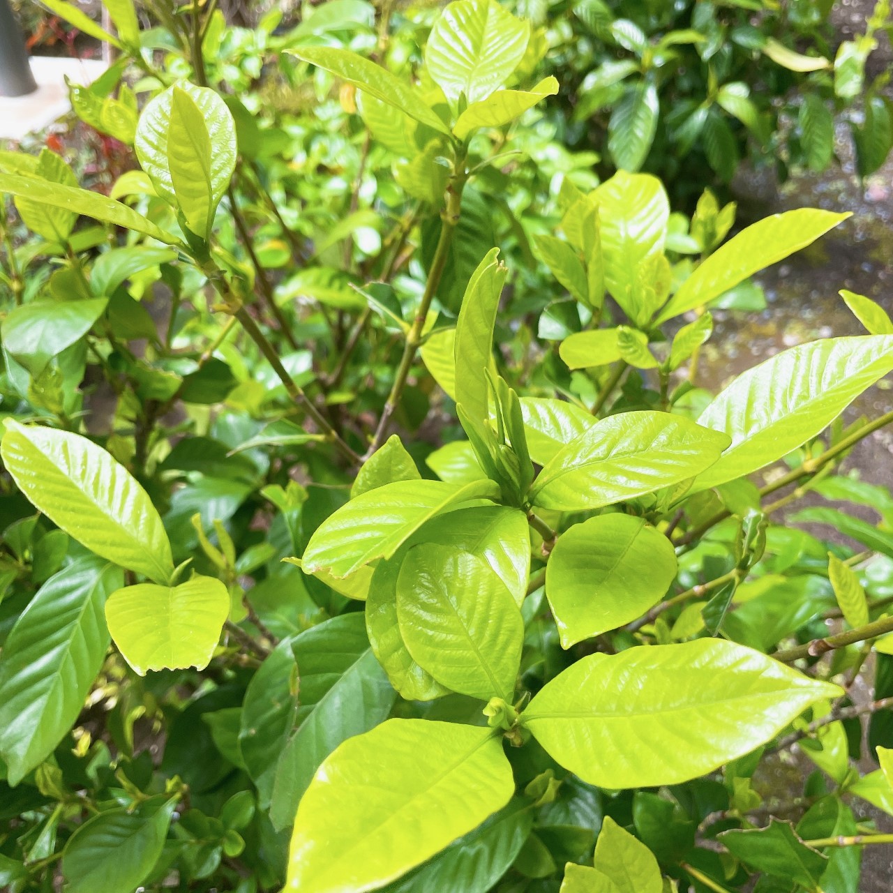 0508ファミリーホール茅ヶ崎