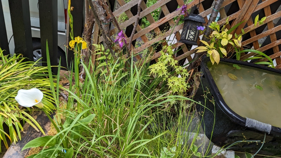 0523小田原式典総合ホール