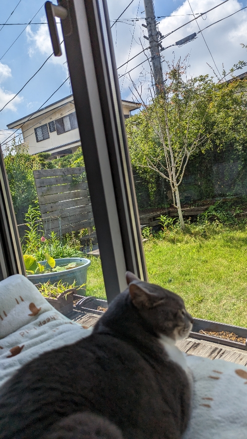 0623小田原式典SH