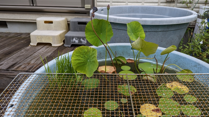 0721小田原式典総合ホール