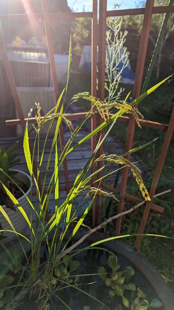 0915小田原式典総合ホール