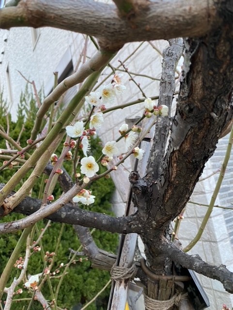 0222ファミリーホール小田原