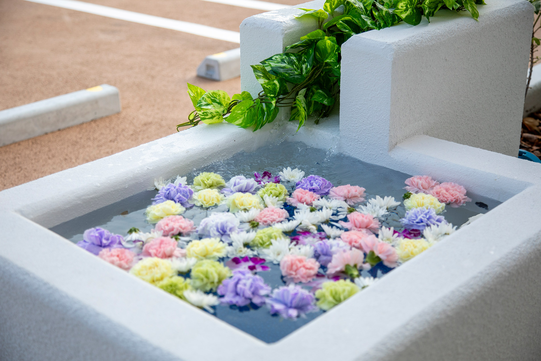 サン・ライフ<br>秦野ファミリーホール