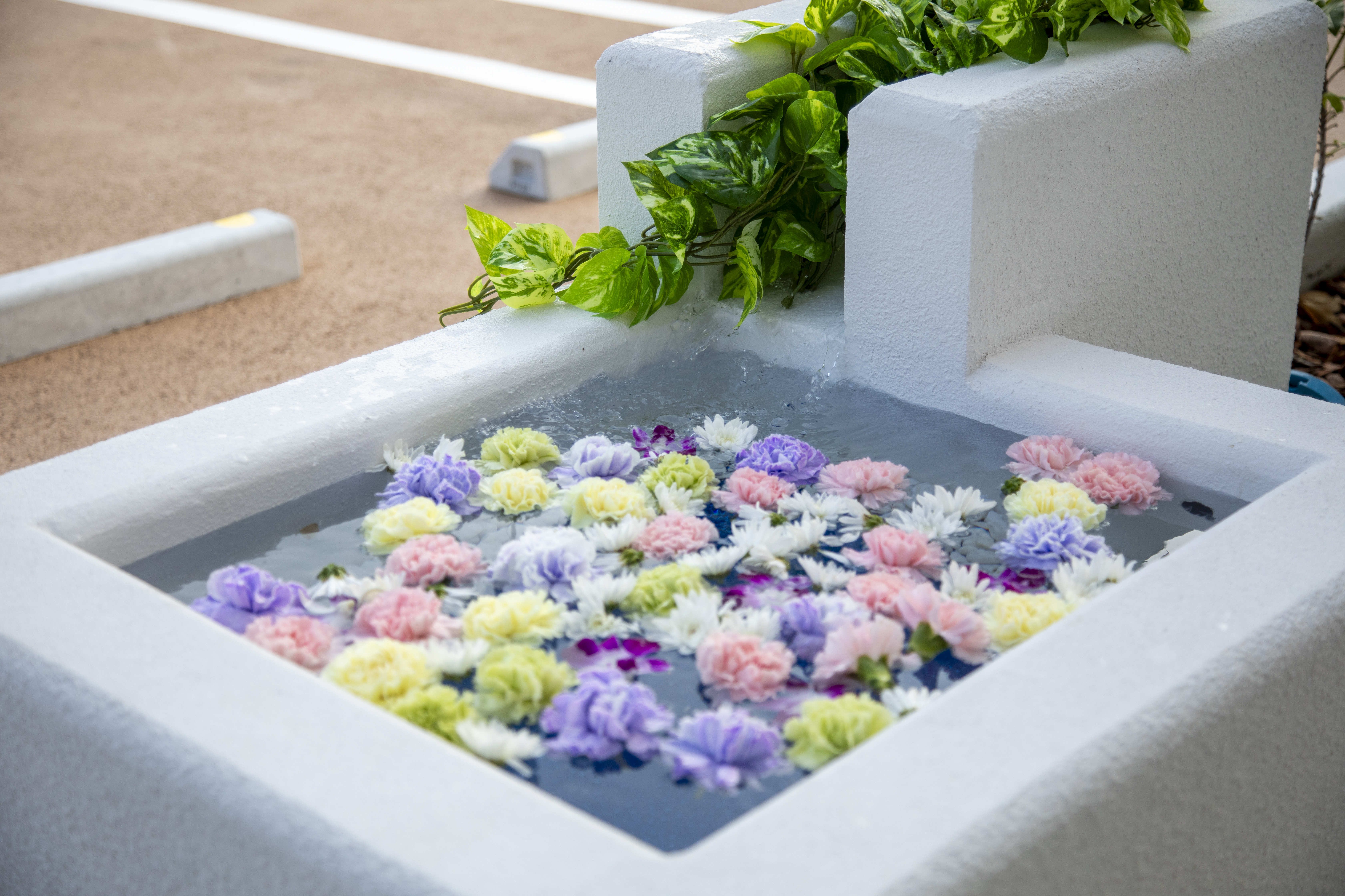 サン・ライフ<br>秦野ファミリーホール