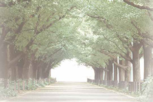火葬前の想い出巡り