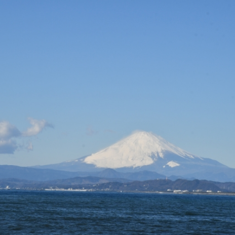 晴れた日の雄大な富士山