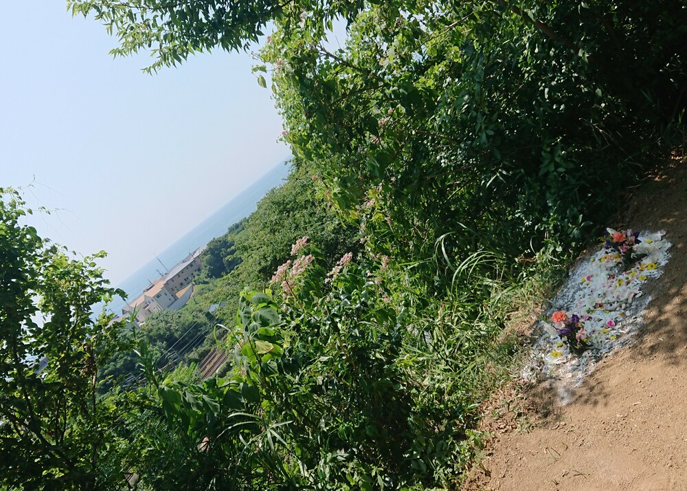 自然葬山の散骨