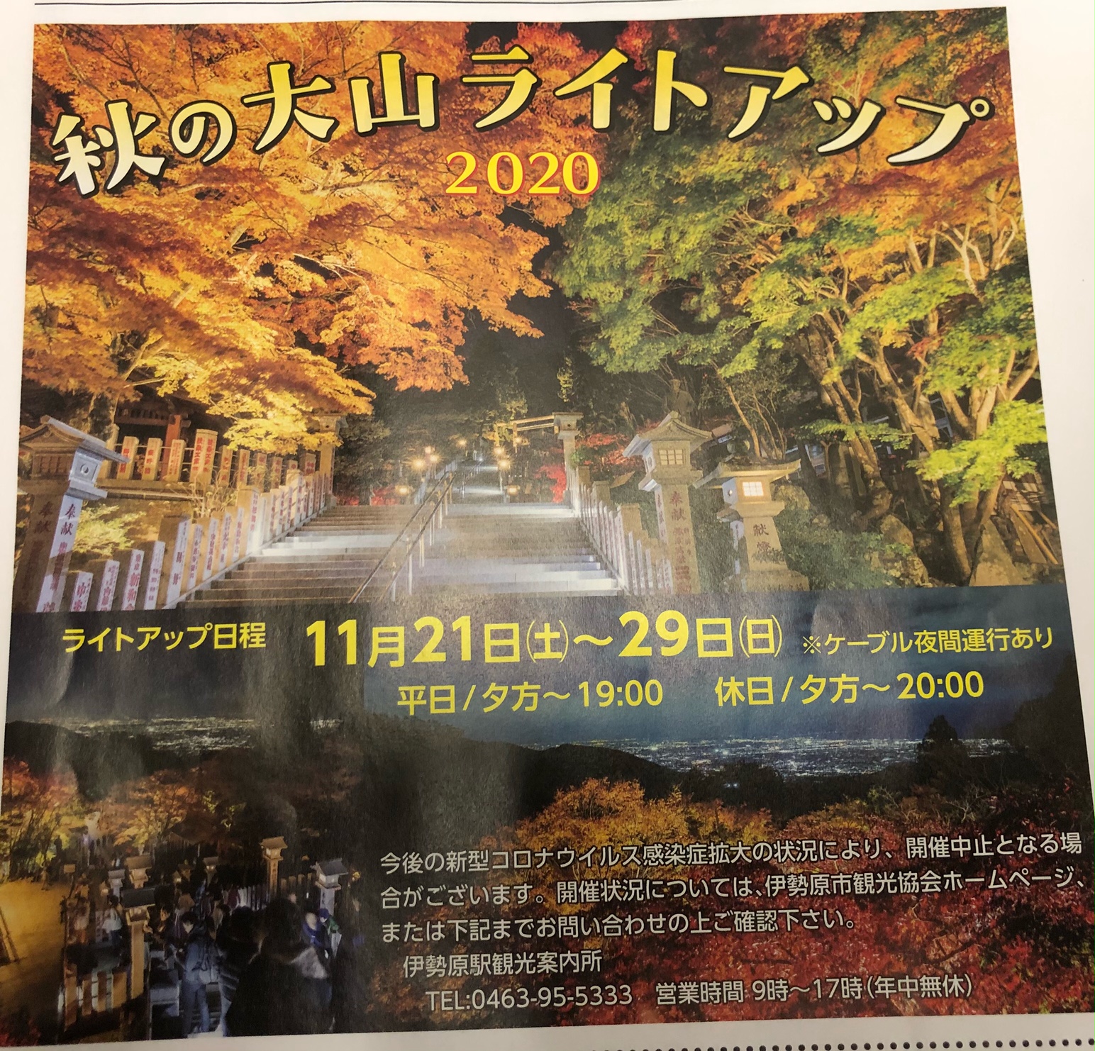 11月ブログ　藤沢大庭