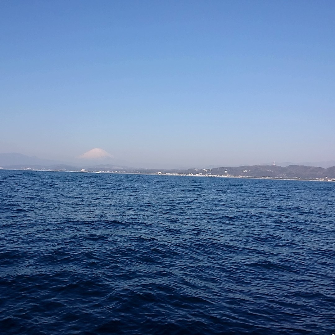 暖かい春風の吹く湘南の海に 自然葬 株式会社サン ライフ 公式