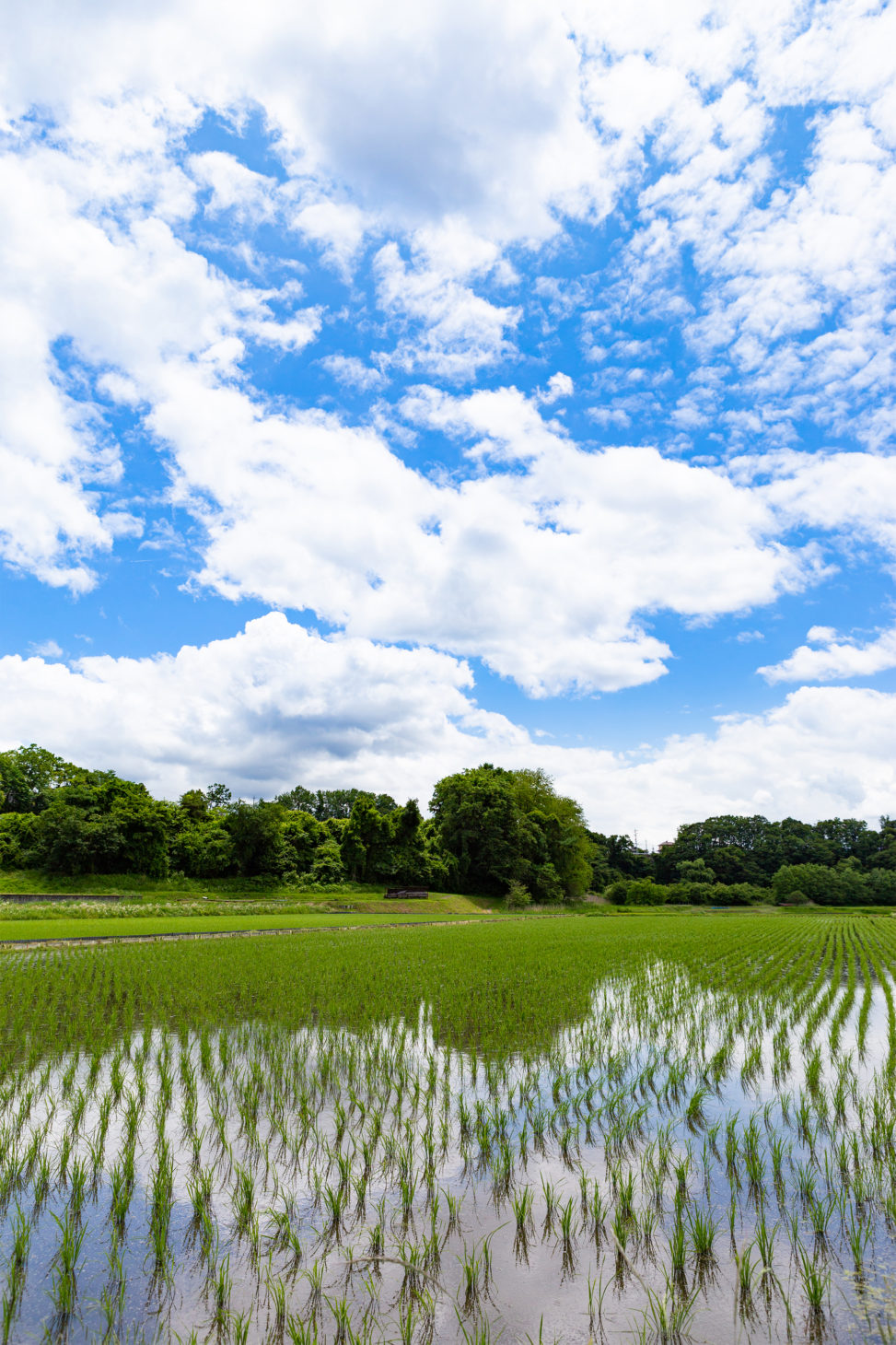 5月ブログ西湘ホール