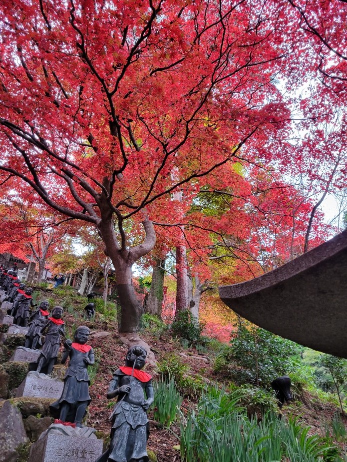 平塚斎場11月ブログ