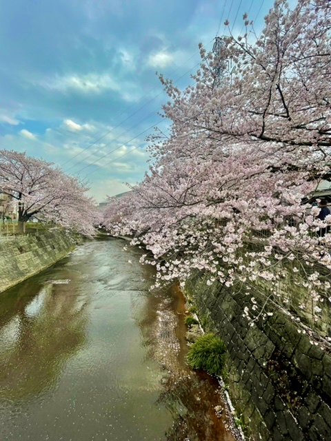 2022年4月横町FHブログ