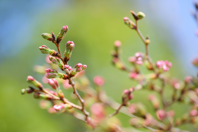 0328小田原式典総合ホール