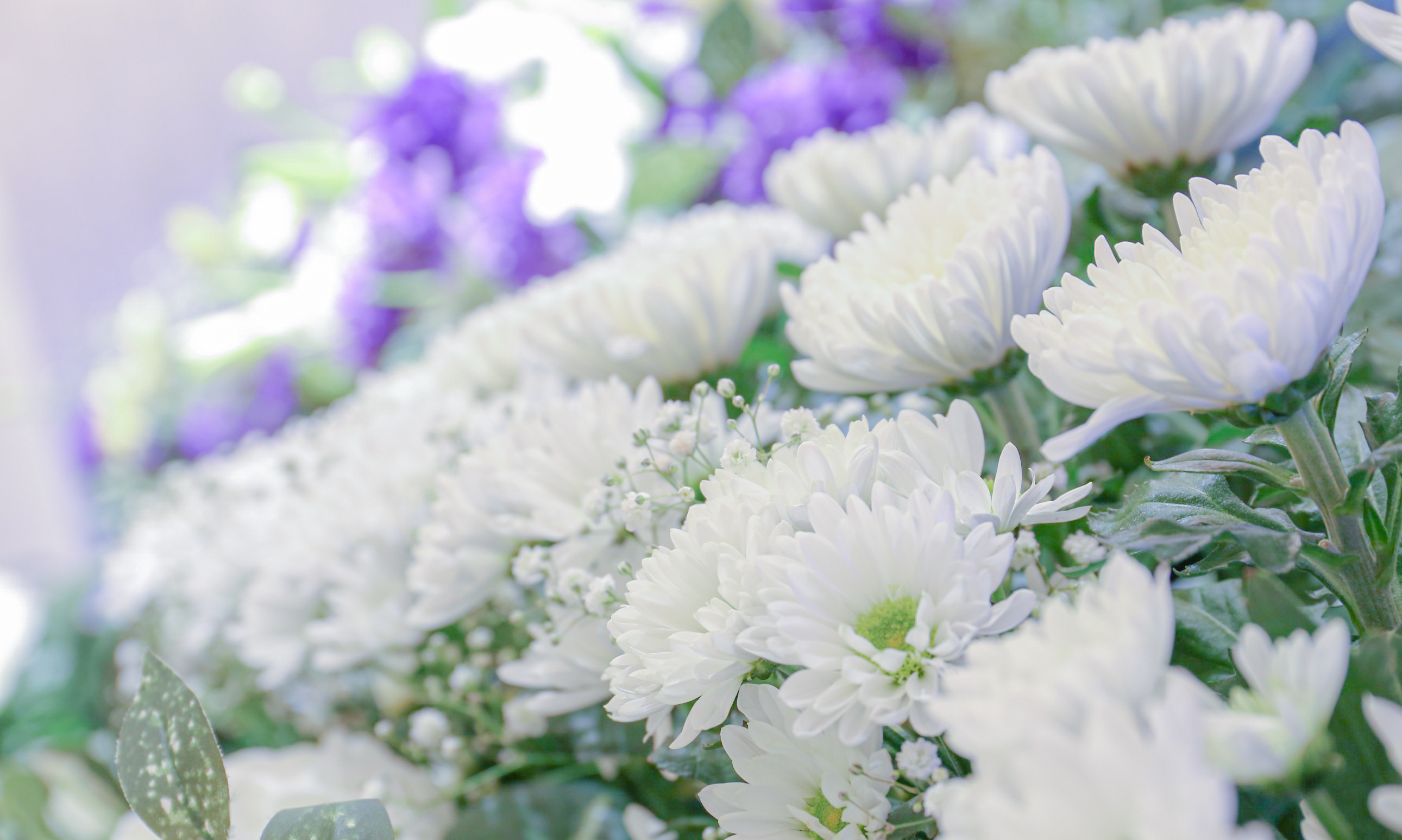 葬儀の花はどこに頼む?手配の流れや注意点を徹底解説