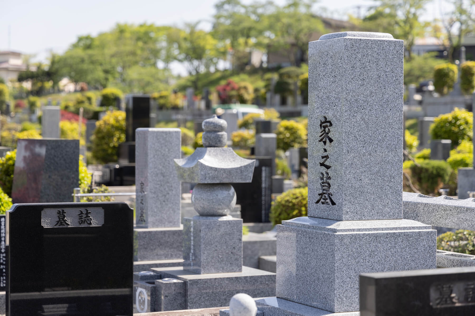 お墓の費用はどのくらい?内訳や相場、安く抑える方法まで徹底解説